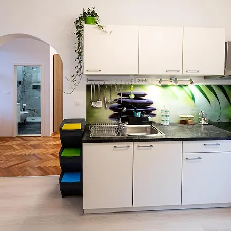 That Cat Flat - Free Parking, Near Center, Cats! Daire