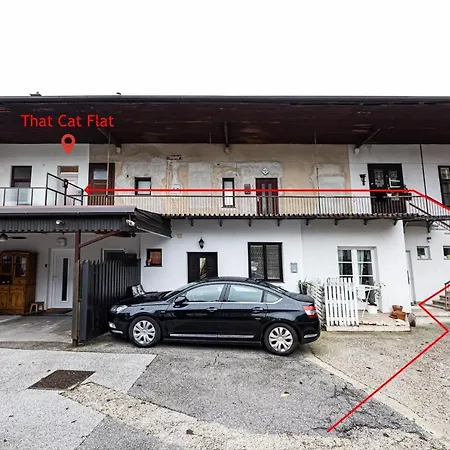 Апартаменти That Cat Flat - Free Parking, Near Center, Cats! Любляна