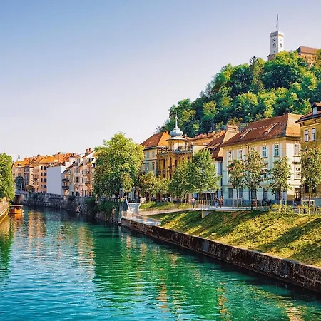 That Cat Flat - Free Parking, Near Center, Cats! Апартаменти *