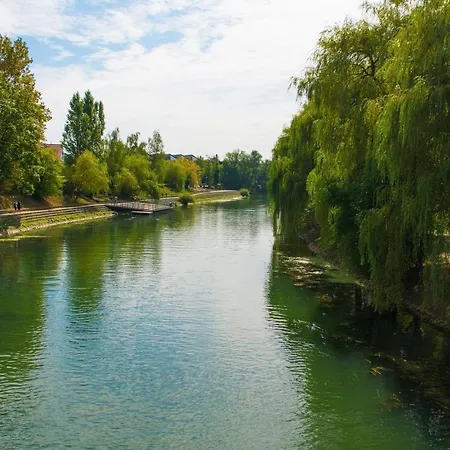 Daire That Cat Flat - Free Parking, Near Center, Cats! *