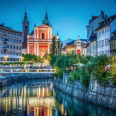 That Cat Flat - Free Parking, Near Center, Cats! Любляна