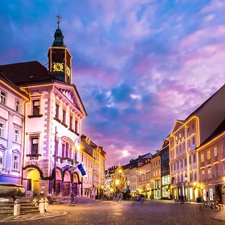 That Cat Flat - Free Parking, Near Center, Cats!