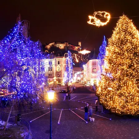 That Cat Flat - Free Parking, Near Center, Cats! Апартаменти