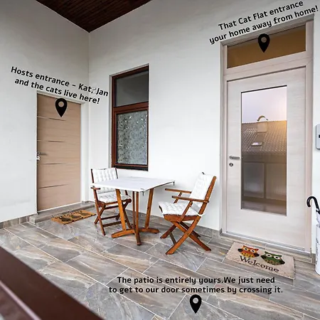 Apartment That Cat Flat - Free Parking, Near Center, Cats!