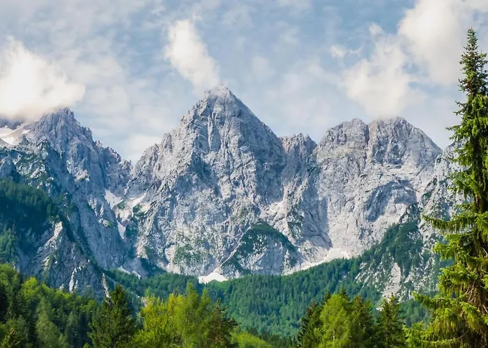 That Cat Flat - Free Parking, Near Center, Cats! * Любляна