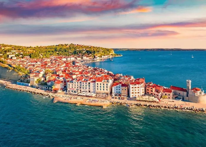 That Cat Flat - Free Parking, Near Center, Cats! Daire *