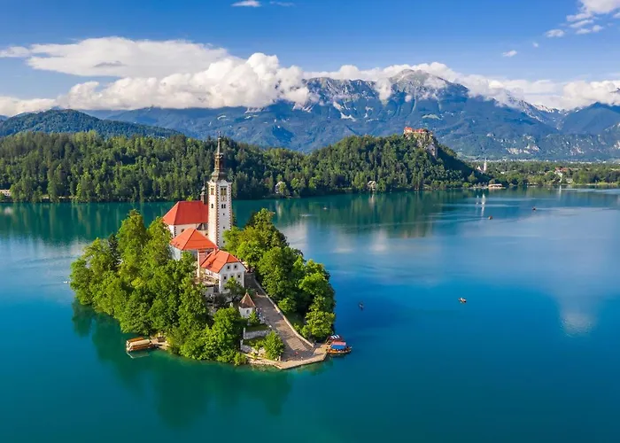 That Cat Flat - Free Parking, Near Center, Cats! Daire *