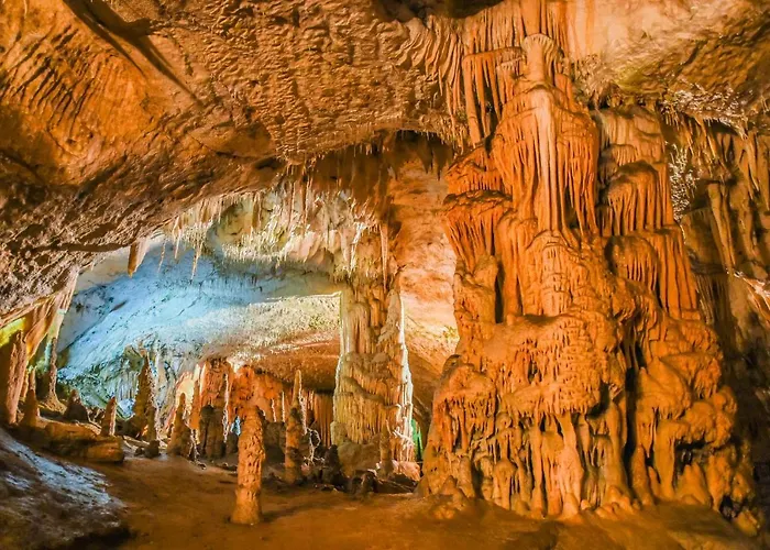 That Cat Flat - Free Parking, Near Center, Cats!