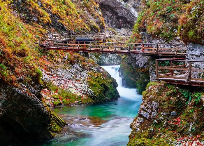 That Cat Flat - Free Parking, Near Center, Cats! *