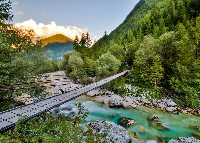 That Cat Flat - Free Parking, Near Center, Cats! * Ljubljana