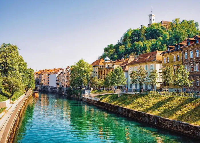 That Cat Flat - Free Parking, Near Center, Cats! Daire *