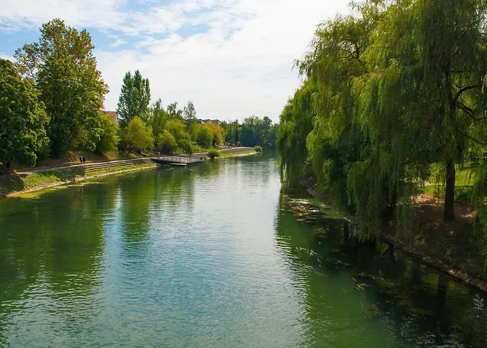 Daire That Cat Flat - Free Parking, Near Center, Cats! *