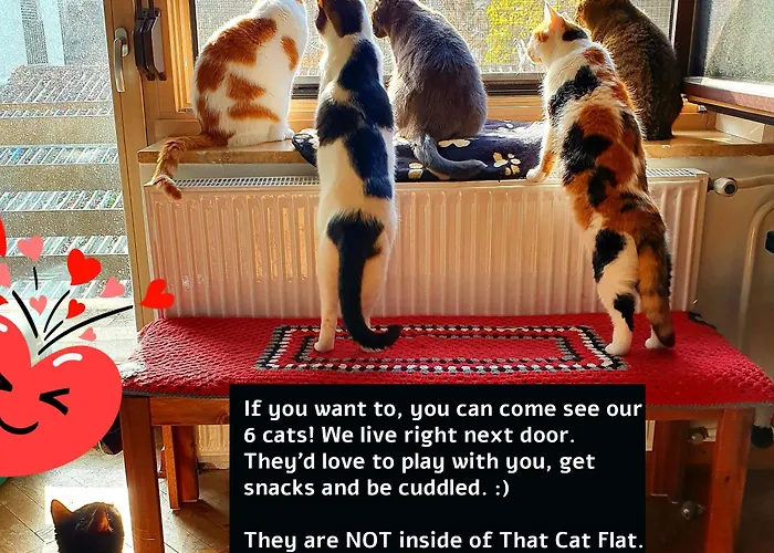 That Cat Flat - Free Parking, Near Center, Cats! Apartament