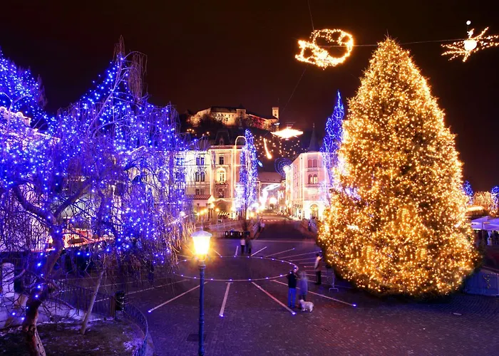 That Cat Flat - Free Parking, Near Center, Cats! Apartament