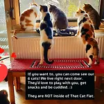 That Cat Flat - Free Parking, Near Center, Cats! شقة
